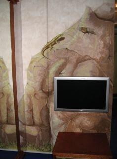 Hotel Drachen Basel Ngoại thất bức ảnh